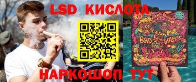 прущие грибы Усть-Илимск