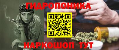 прущие грибы Усть-Илимск